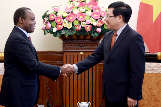 Việt Nam sẽ hỗ trợ khẩu trang y tế cho Angola và một số nước châu Phi