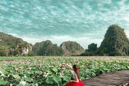 Đầm sen Hang Múa tại Ninh Bình điểm nhấn thu hút khách du lịch gần xa