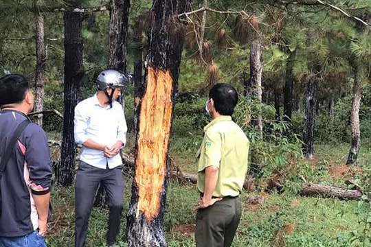 Bê bối 1MDB: Cựu Thủ tướng Najib Razak bị kết tội trong phiên tòa đầu tiên
