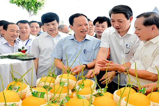 Thanh Hóa: Hướng tới khát vọng thịnh vượng