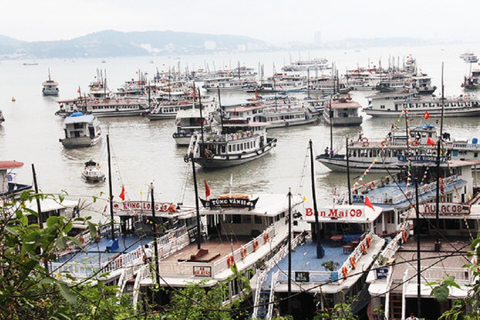 Quảng Ninh dừng cấp phép xuất bến tàu tham quan Vịnh Hạ Long