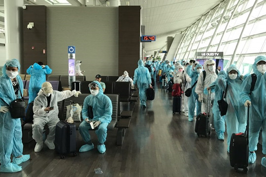 Dịch COVID-19: Tiếp tục đưa 230 công dân Việt Nam tại Hàn Quốc về nước