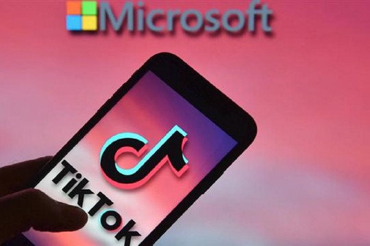 Microsoft quyết tâm mua TikTok