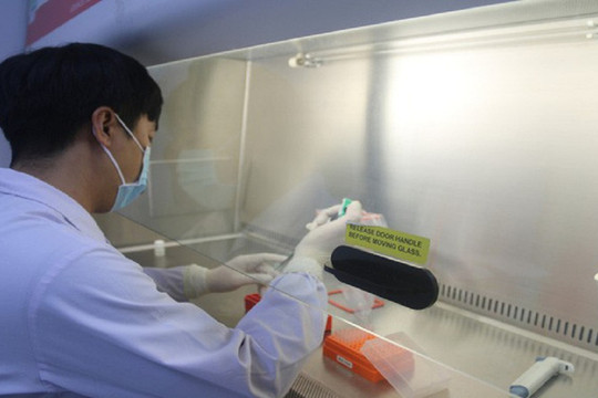 Viện Pasteur Nha Trang tiếp nhận xét nghiệm Covid-19 trở lại