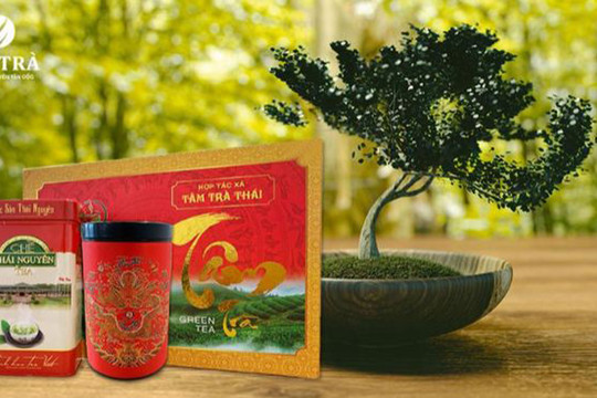 Hải Trà Tân Cương - Chỉ bán trà Thái Nguyên sạch có nguồn gốc