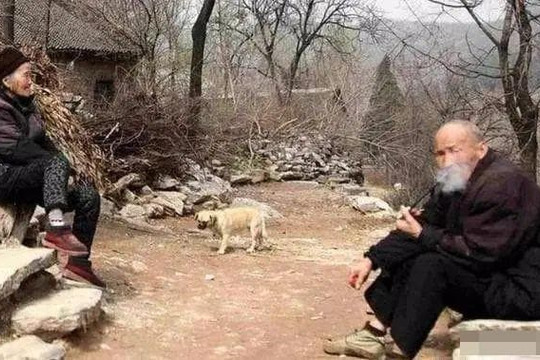 Người xưa thường nói: “Đàn ông sợ gà, đàn bà sợ cừu” Tại sao lại nói như vậy?