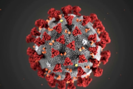 Chuyên gia cho biết đột biến virus corona lây nhiễm nhiều hơn có thể là “một điều tốt”