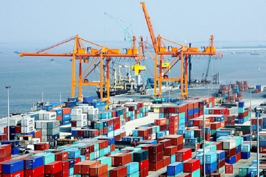 Nửa đầu tháng 8, tổng trị giá xuất nhập khẩu cả nước đạt hơn 310 tỷ USD