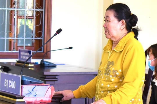 Lừa hơn 1 tỉ đồng, chủ hụi 62 tuổi lãnh án 12 năm tù