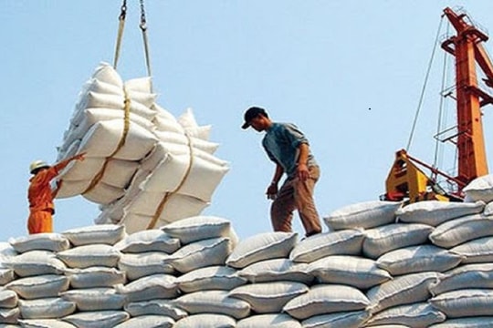 Giá gạo trắng của Việt Nam cao nhất thế giới