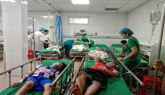 Ném tổ ong trên cây, 16 học sinh nhập viện