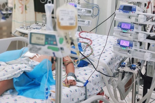 Bé trai bị suy gan, rối loạn đông máu vì sốt xuất huyết