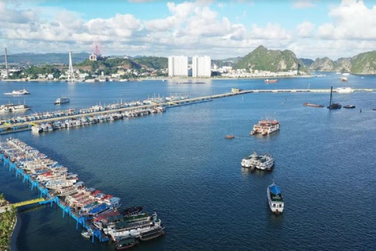 Sóng hạ tầng, quy hoạch chưa dứt, BĐS Hạ Long phát triển thế nào trong tương lai?