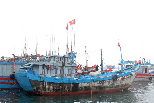 Quảng Ngãi cấm tàu, thuyền ra biển hoạt động từ 13h ngày 17/9