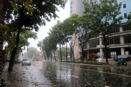 Bão số 5 đổ bộ vào đất liền, một số địa phương đã ghi nhận thiệt hại