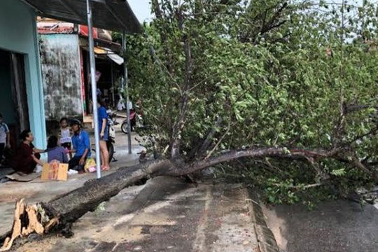 Quảng Bình: Hai người bị thương nặng do ảnh hưởng của bão số 5