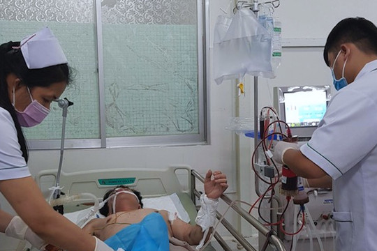 Ăn cá mặt thỏ, người đàn ông bị hôn mê, liệt toàn thân