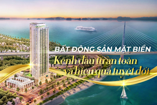Đầu tư bất động sản mặt biển: Quyết nhanh nhưng chiến lược dài hạn như Warren Buffett