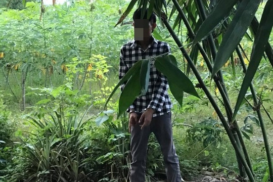 Hàng chục lần hiếp dâm bé gái hàng xóm