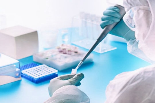 Tin vắn thế giới ngày 12/10: Israel sẽ thử nghiệm vaccine ngừa COVID-19 trên người từ 21/10