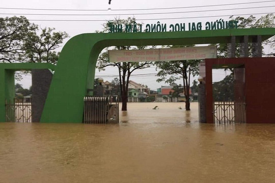 Bộ GD-ĐT cho phép ĐH Huế và ĐH Đà Nẵng được gia hạn thời gian nhập học
