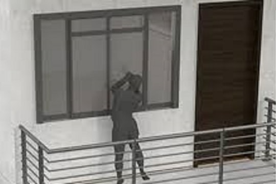 Mang chó thả vào biệt thự, trộm tài sản trị giá hơn 700 triệu