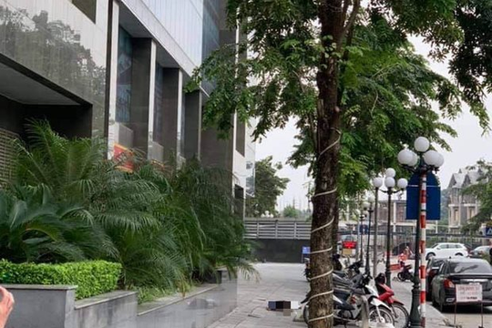 Người phụ nữ rơi từ chung cư xuống đất tử vong