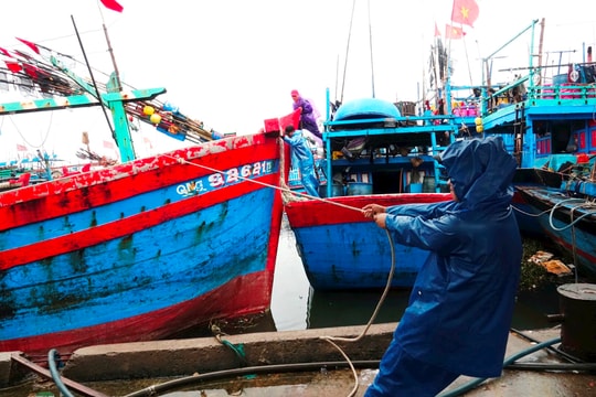 Tỉnh Quảng Ngãi cấm tàu thuyền ra khơi để tránh bão số 9