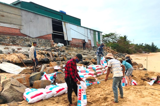 Quảng Ngãi: Người dân vùng biển “căng mình” chống bão