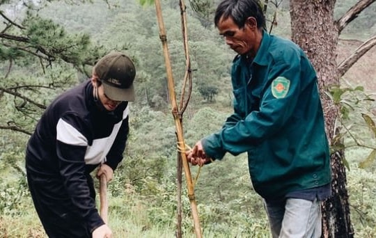 Hà Anh Tuấn trồng 1.800 cây phủ kín hai cánh rừng ở Lâm Đồng, Đà Nẵng