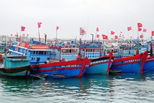 Tàu, thuyền của ngư dân Quảng Ngãi đã vào nơi neo đậu an toàn