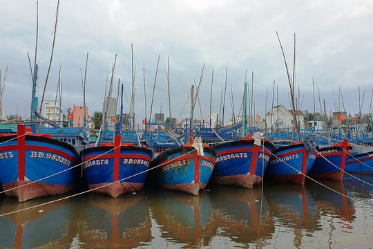 Bình Định: Hai tàu cá bị chìm, 26 ngư dân đang mất tích