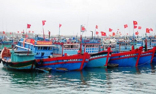 Tàu, thuyền ngư dân Quảng Ngãi đã vào nơi neo đậu an toàn