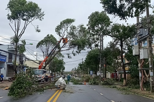Cảnh hoang tàn sau khi bão số 9 đi qua