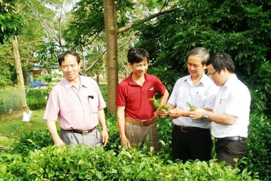 Đồng Hỷ- Thái Nguyên: Hoàn thiện tiêu chí hoàn thành mục tiêu nông thôn mới 