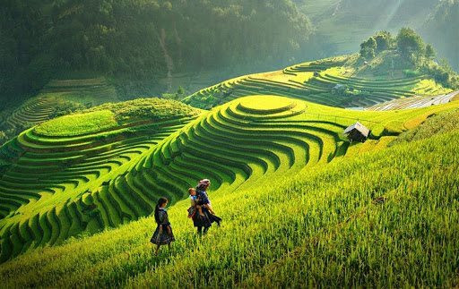 Khai mạc tuần du lịch “Lễ hội Mùa vàng 2020”