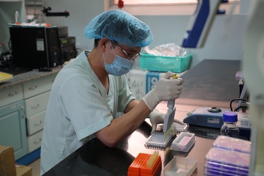 Việt Nam thử nghiệm vắc xin Covid-19 trên khỉ