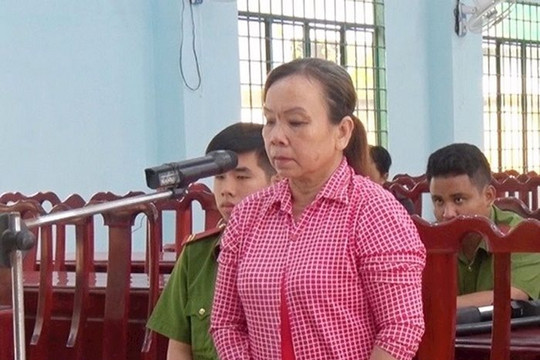 Ngược đãi mẹ ruột, nữ bị cáo lĩnh 30 tháng tù