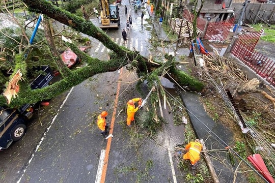 Siêu bão Goni đổ bộ, "hoành hành" Philippines, 10 người thiệt mạng
