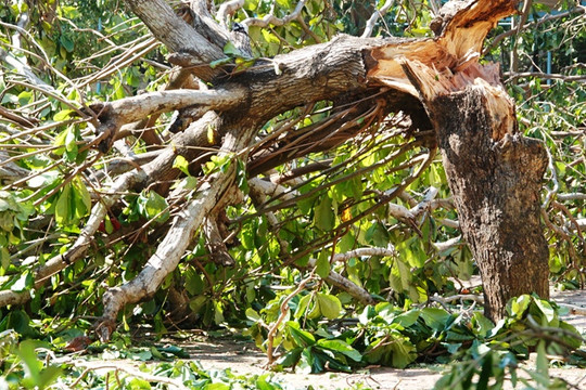 Bão số 10 đi vào đất liền từ Đà Nẵng đến Phú Yên rồi suy yếu thành áp thấp nhiệt đới