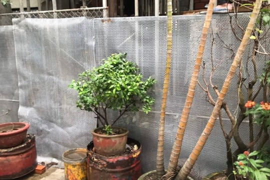 Đà Nẵng: Chính quyền địa phương gây khó dễ với gia đình chính sách? 
