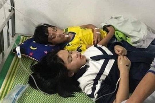 Bị ong đốt, 16 học sinh nhập viện