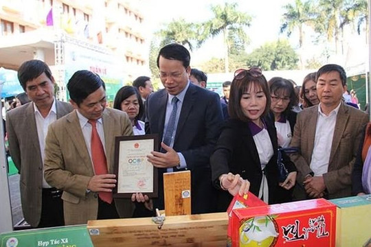 Thái Nguyên: 108 xã cán đích nông thôn mới nhiều chỉ tiêu được giữ vững 