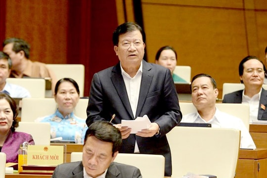 Chưa có lực lượng cứu hộ chuyên nghiệp làm chậm tiếp cận đến điểm xảy ra sạt lở, thiên tai