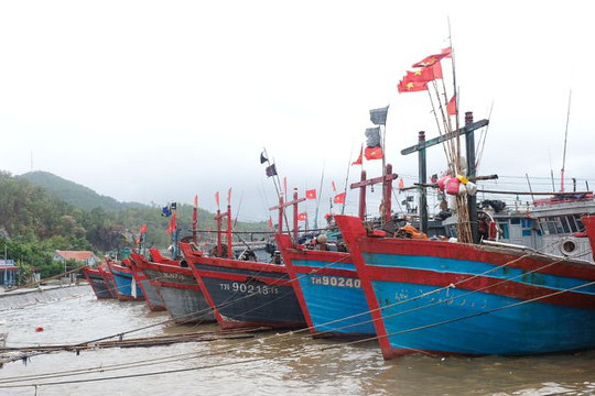 Quảng Trị đến Quảng Nam ứng phó với bão số 13