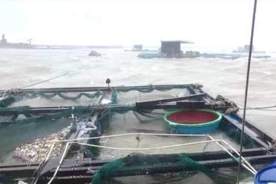 Đảo Lý Sơn đang có gió giật mạnh, biển động dữ dội