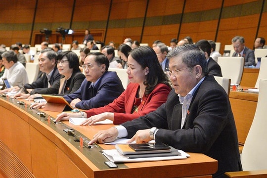 Từ tháng 7/2021, TP.HCM không tổ chức HĐND quận, phường 