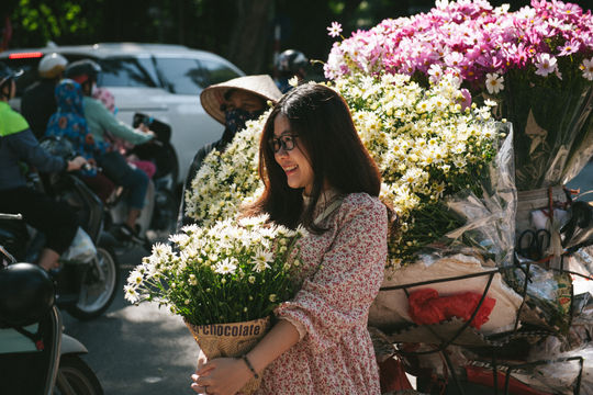 Cúc họa mi ngập tràn phố phường Hà Nội, giá tăng vì khan hàng
