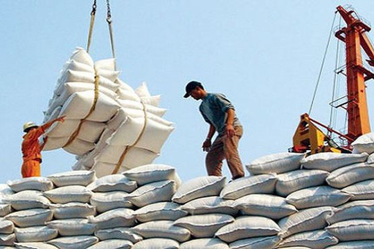 Giá gạo Việt Nam cao kỷ lục