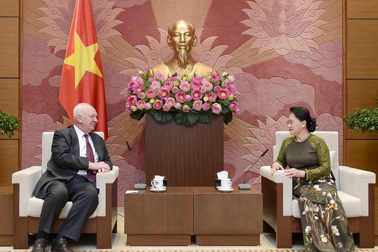 Chủ tịch Quốc hội Nguyễn Thị Kim Ngân tiếp các đại sứ Nga và Cuba